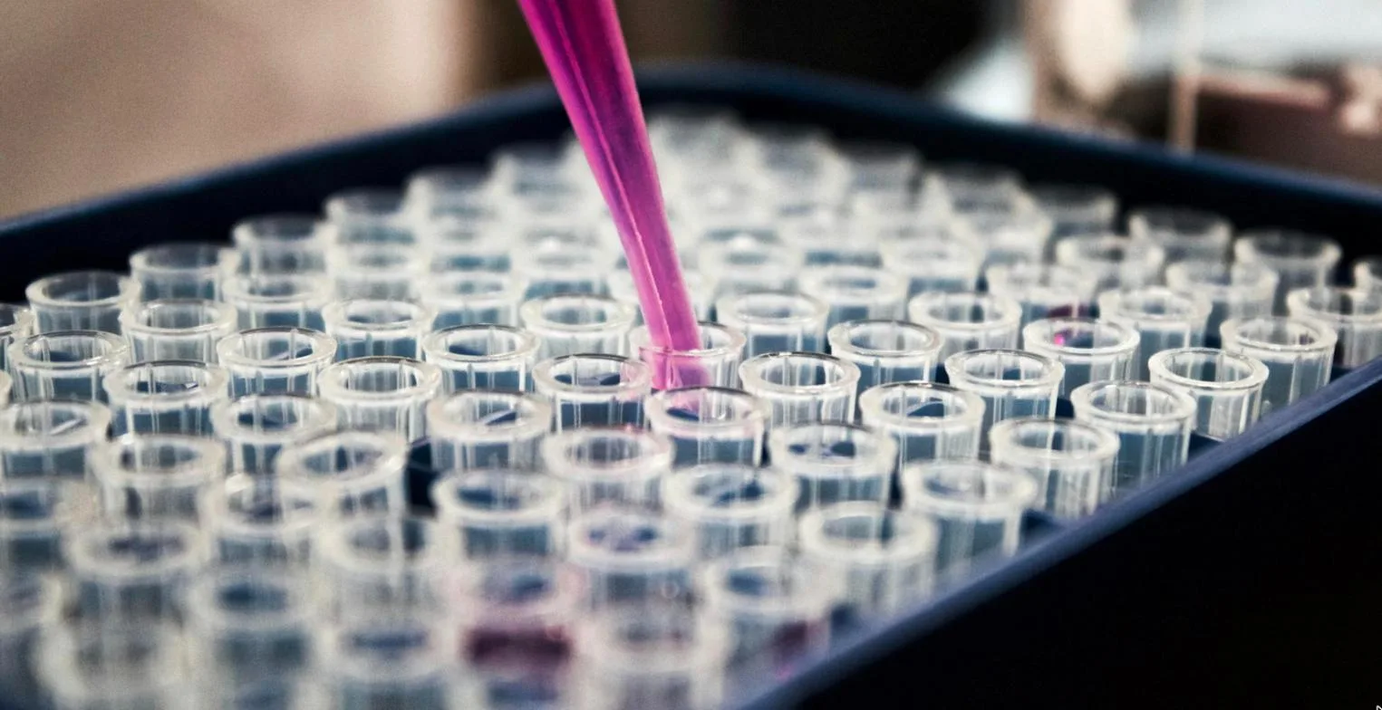 Cannabis testing lab samples